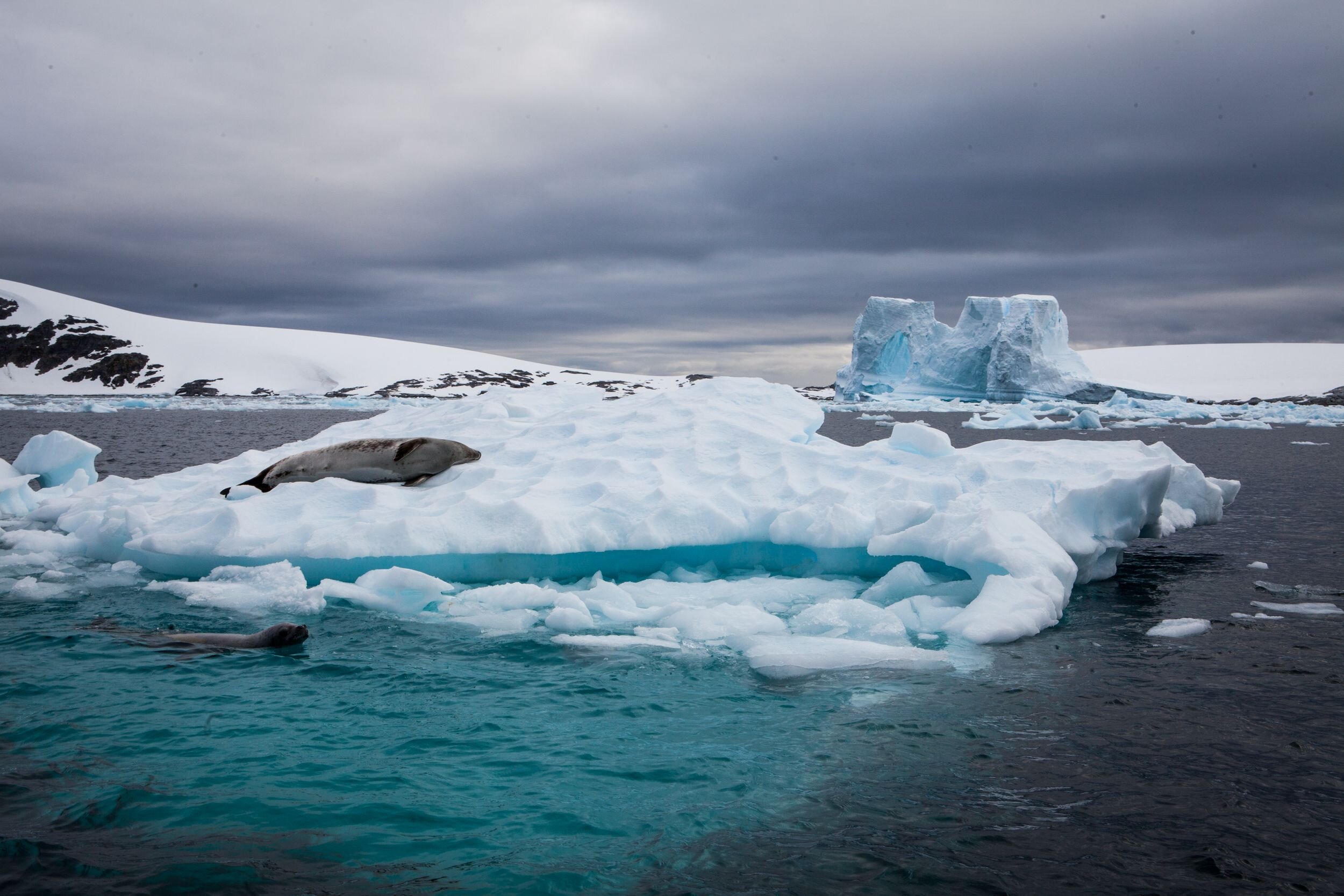 IAE-2017-Slideshow (171 of 238).jpg