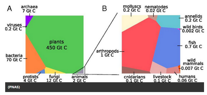 Source: www.pnas.org/content/early/2018/05/15/1711842115